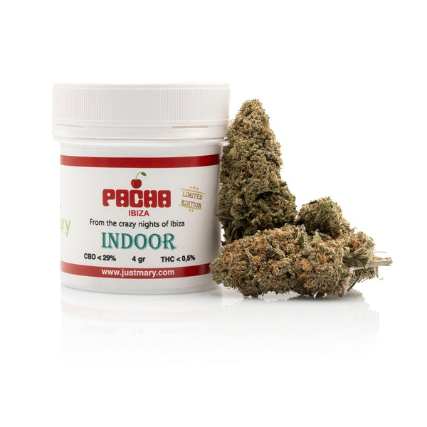 SUPER PROMO - CRAZY PACHA IBIZA INDOOR CANNABIS 4g
