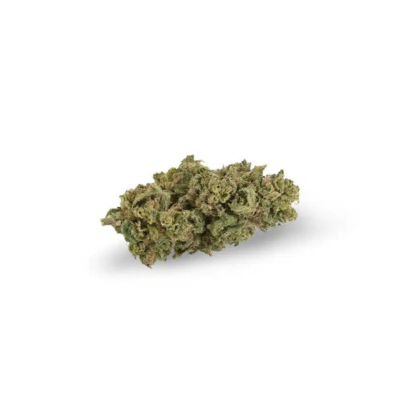 Amnesia Dream TOP Indoor 3g