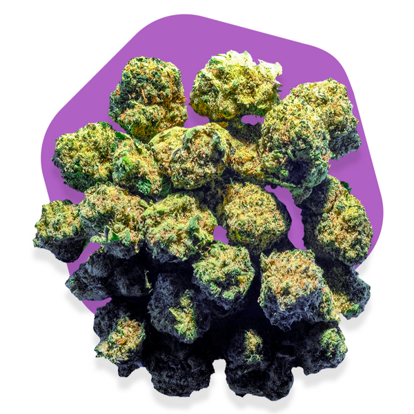 **DISPONIBILE SOLO A MILANO** Poppy MIRACLE ALIEN COOKIE Indoor - 14% CBD - THC 0,2% - 5 Grammi.