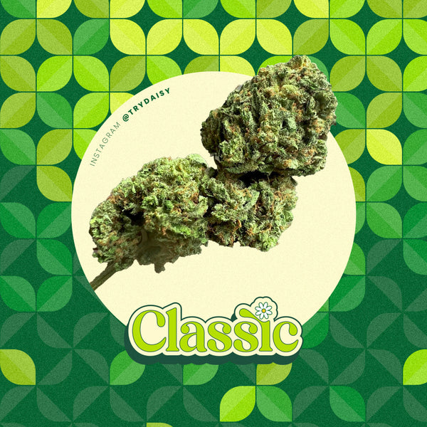 Ultime 6 confezioni - Cannabis DAISY CLASSIC 4g