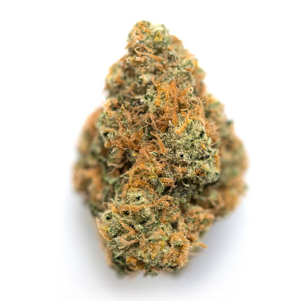 NEW Orange Kush INDICA - 50 grammi - CBD 28% - THC 0,5%
